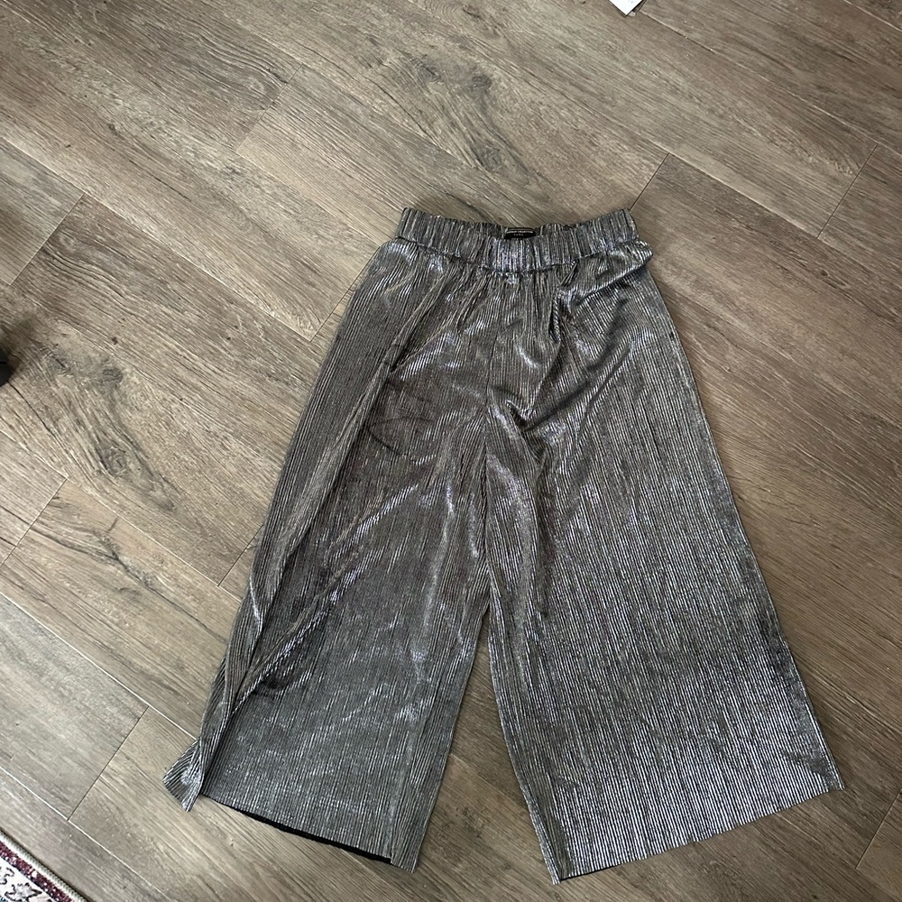 Shiny Zara pants